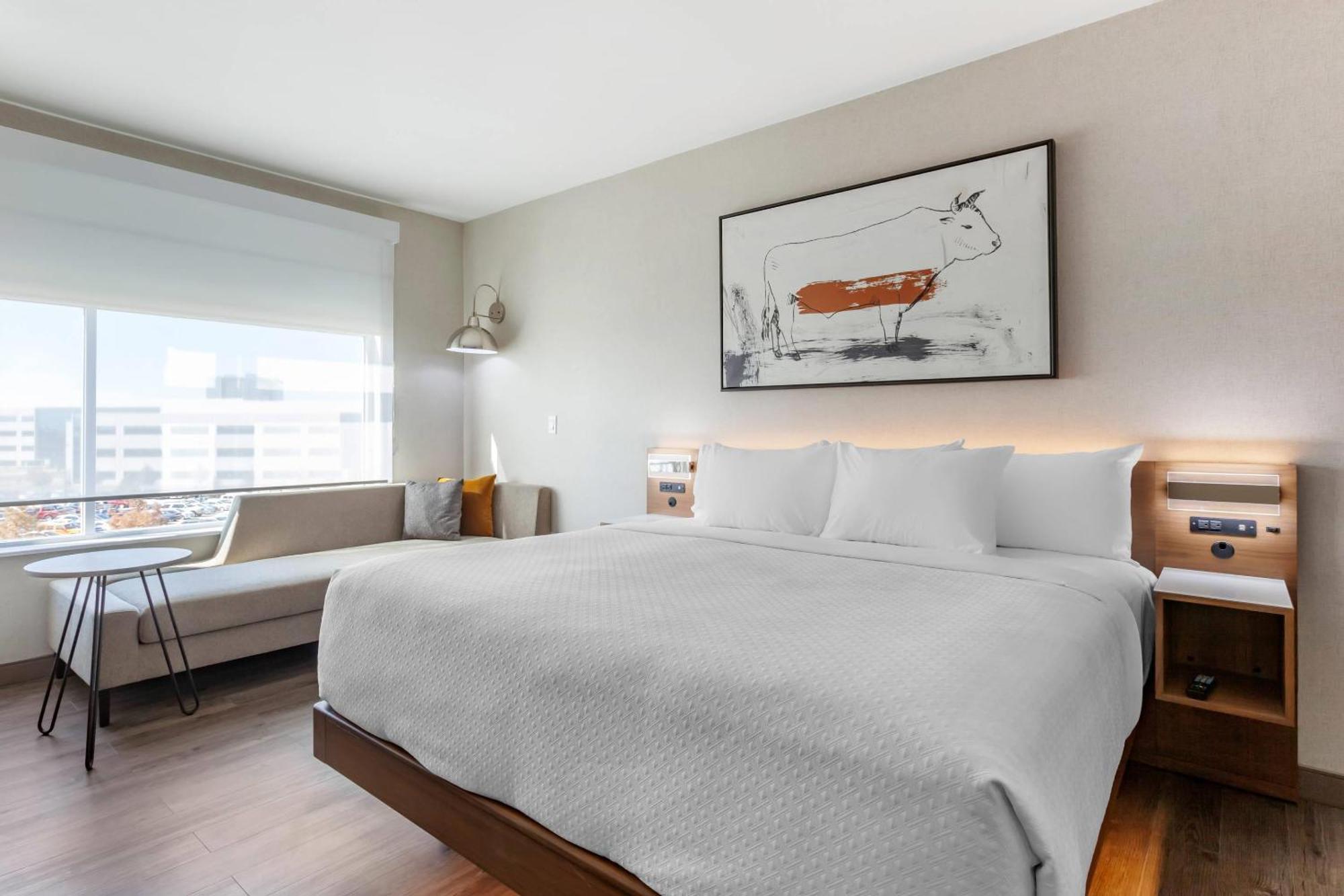 Cambria Hotel Richardson - Dallas Экстерьер фото