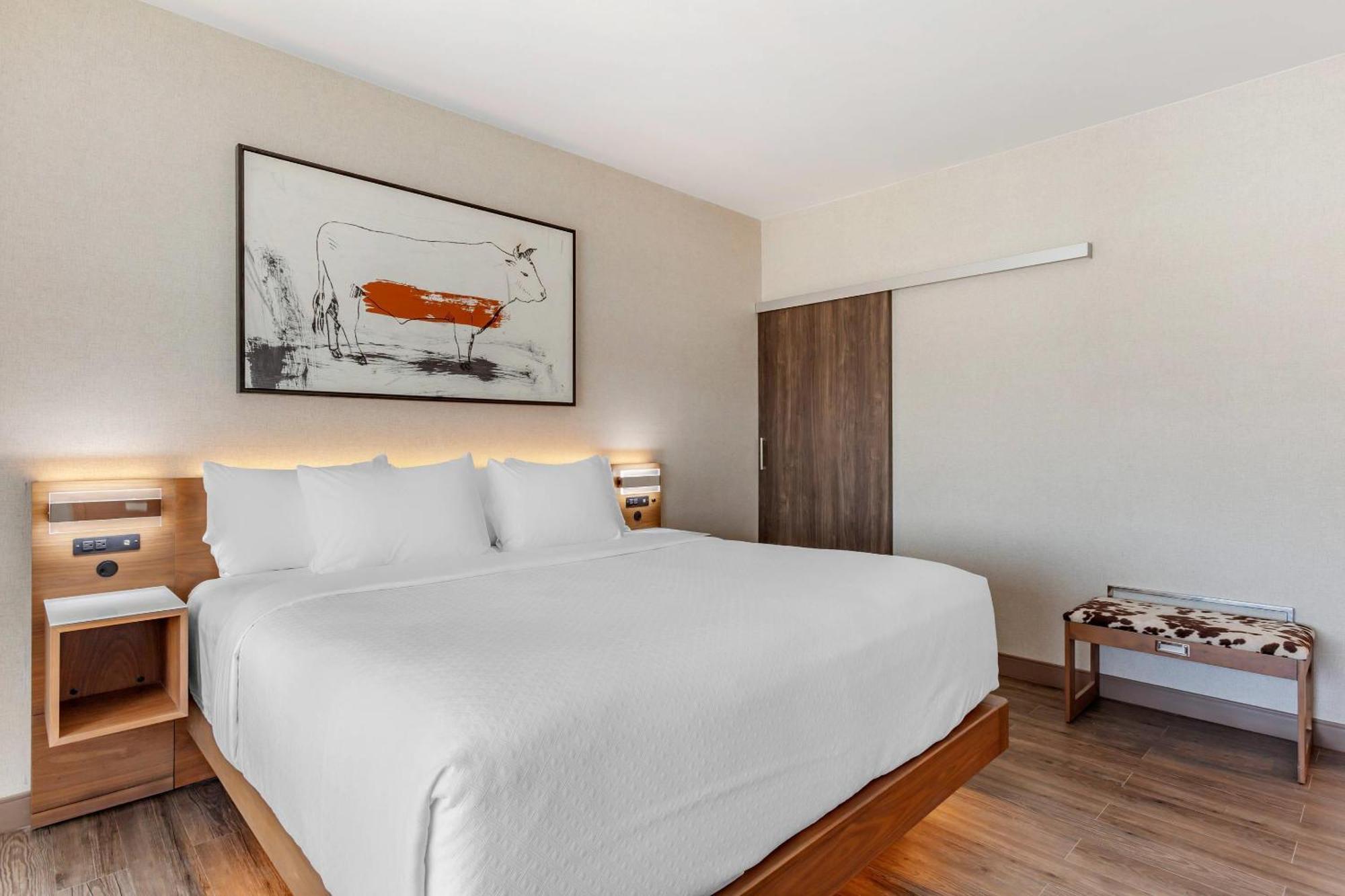 Cambria Hotel Richardson - Dallas Экстерьер фото
